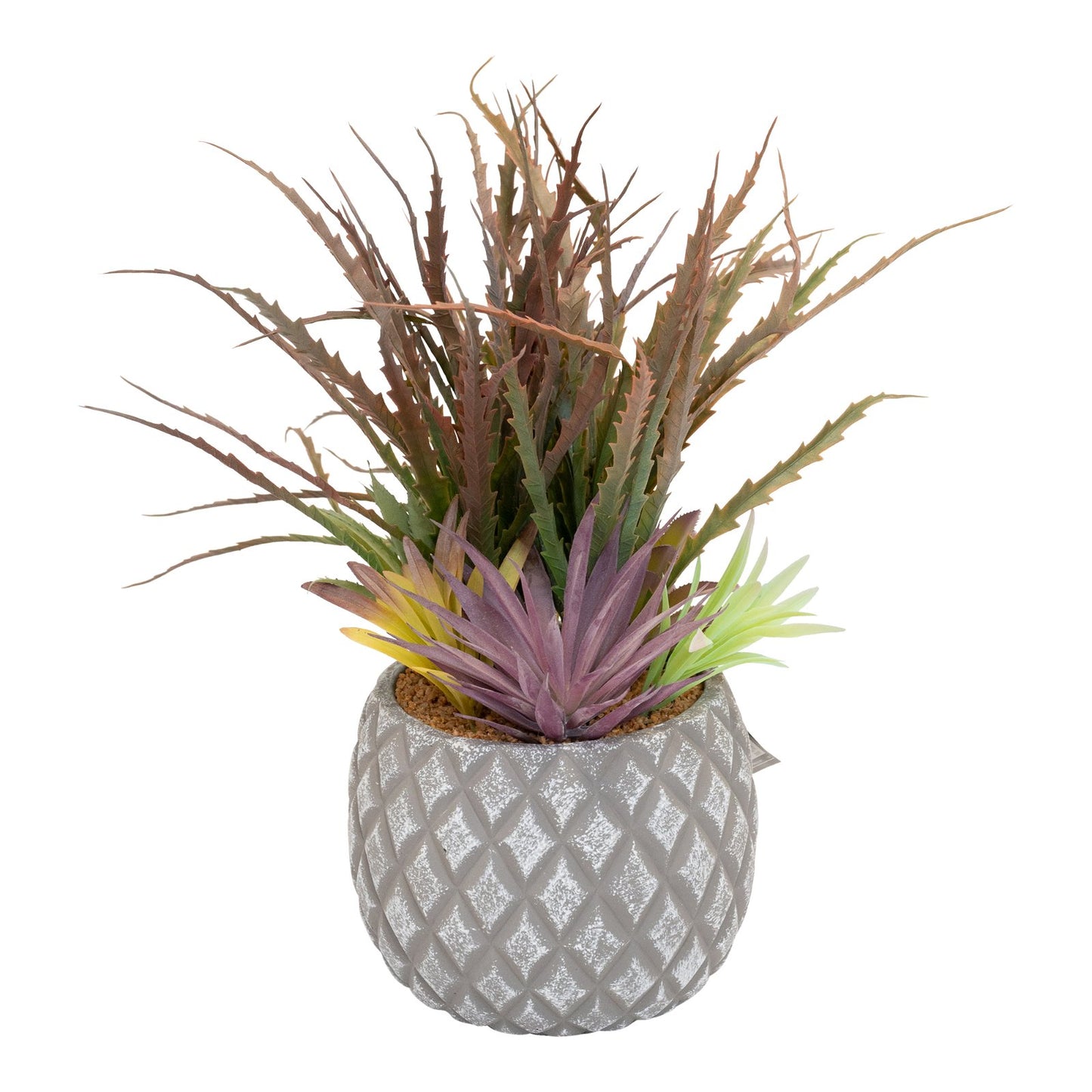 Succulents in Large Lattice Design Grey Pot