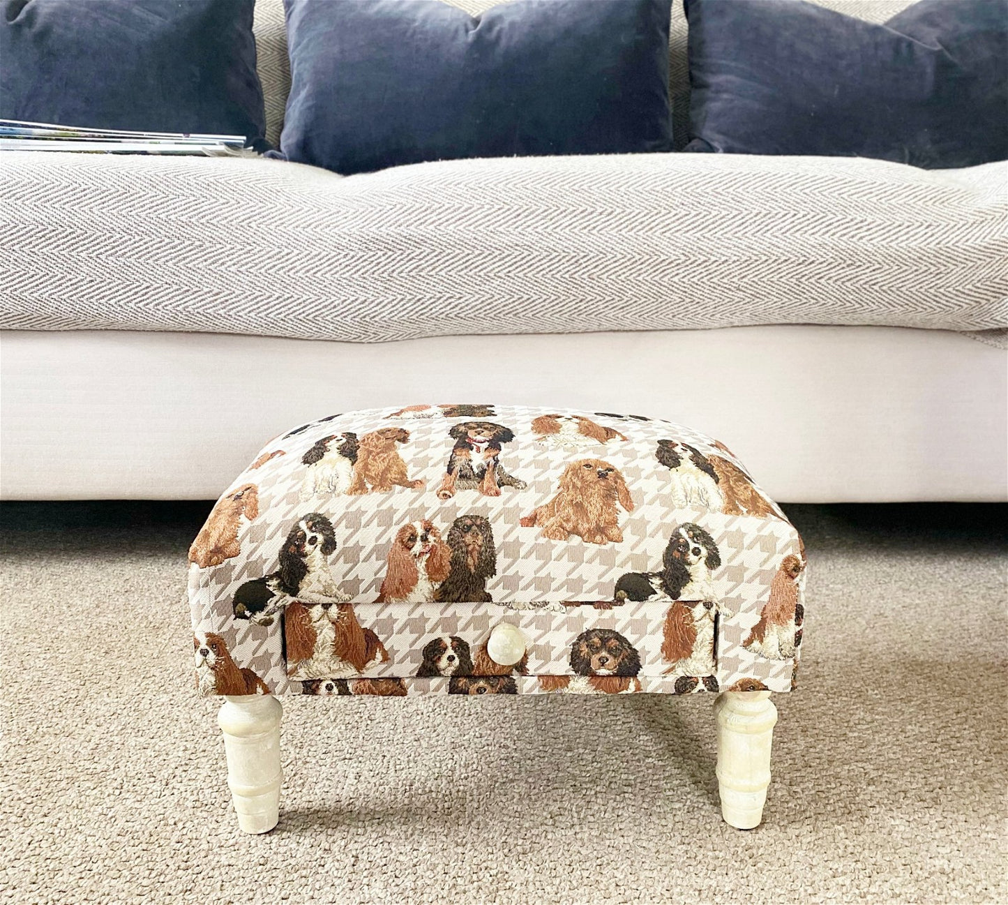 Dog Fabric Footstool with Drawer