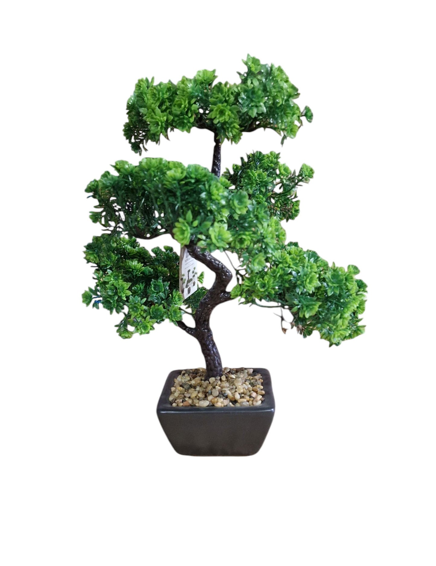 Bonsai Tree Decoration Boxwood 37cm