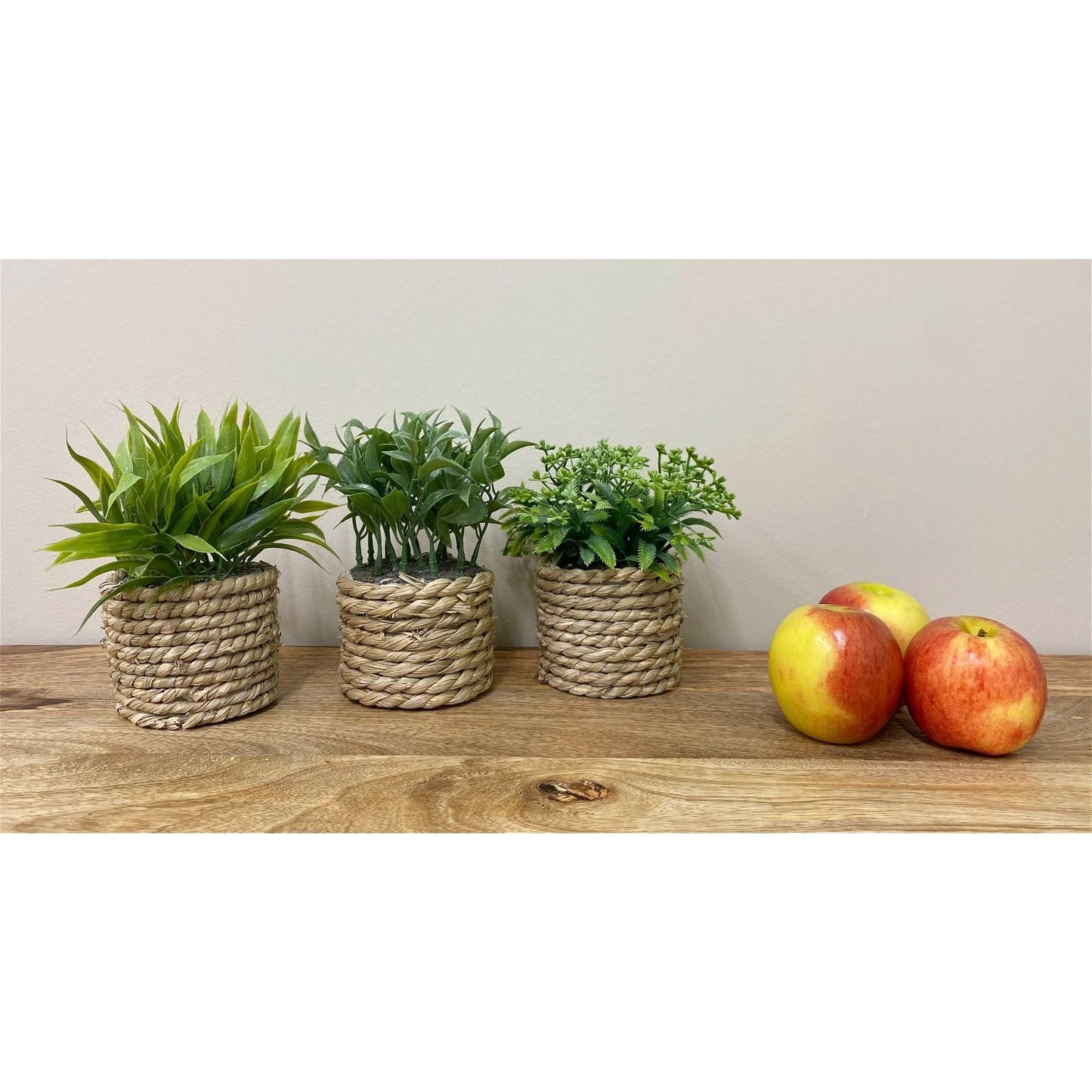 A Set Of Three Rope Effect Pots And Artificial Succulents