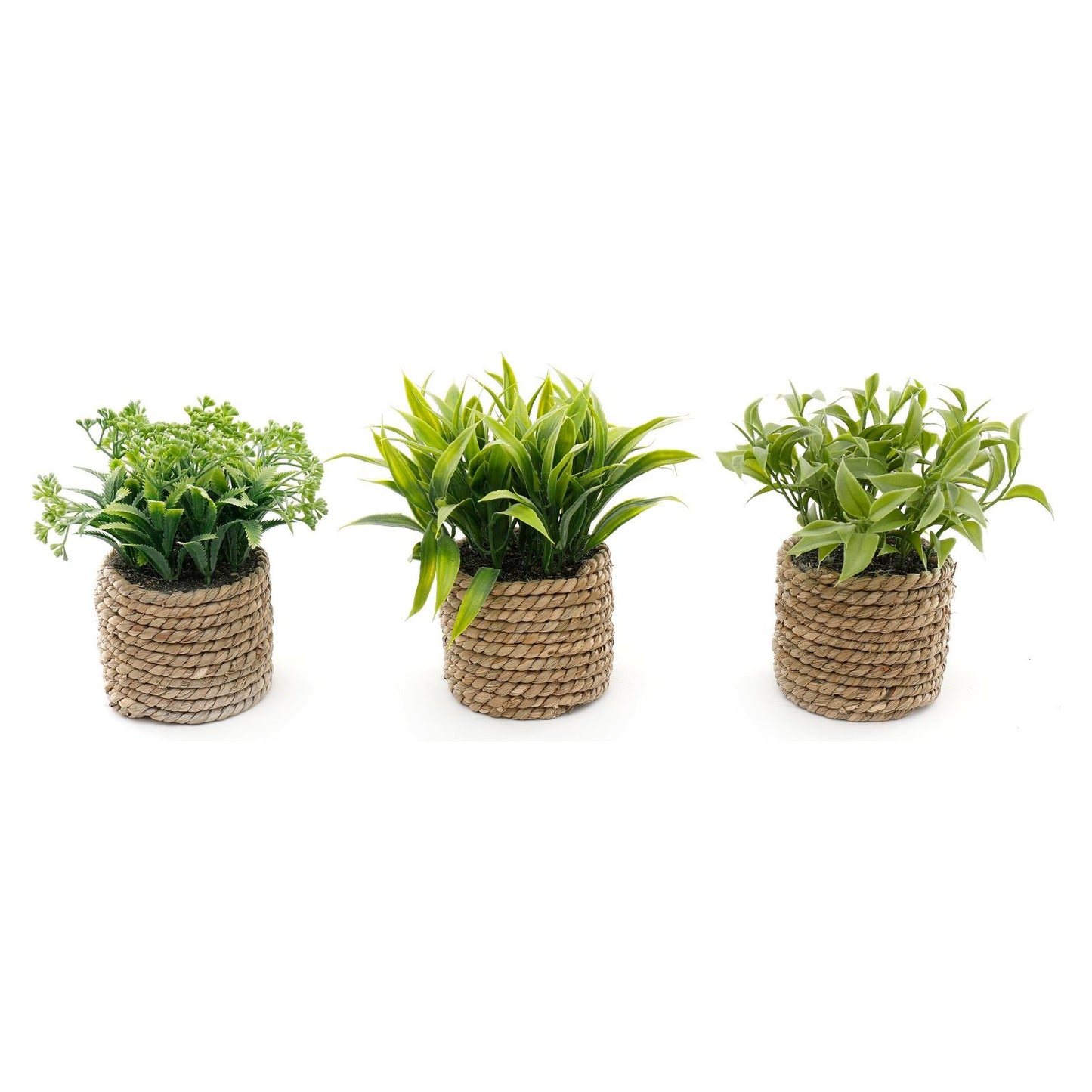 A Set Of Three Rope Effect Pots And Artificial Succulents